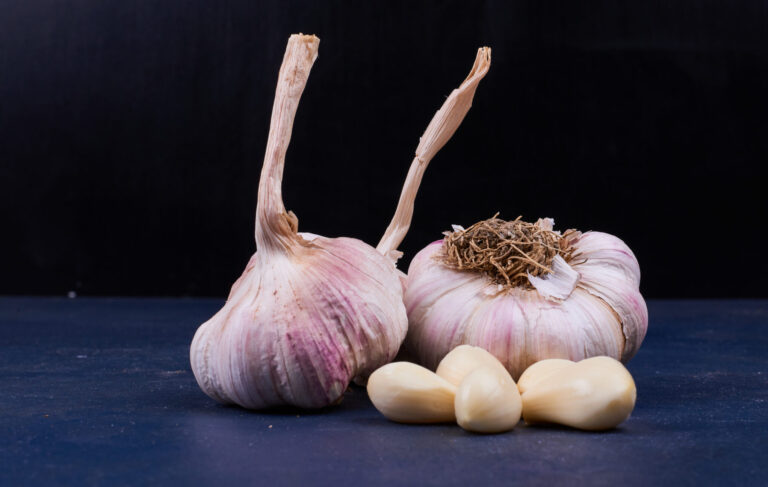 Garlic cloves whole and peeled on black background